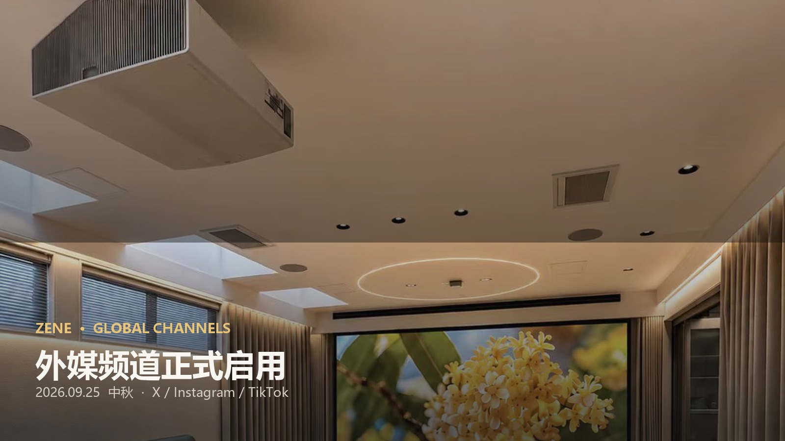 ZENE Global Channels / 外媒频道正式启用